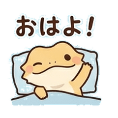 Puni-Puni Bearded Dragon Friends