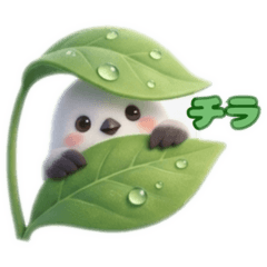 chocotto_20260327104140