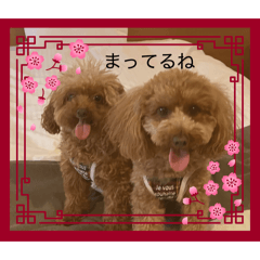 English_20260327110726