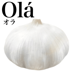 Raw garlic 19