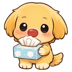 Golden Retriever: Spring Allergies