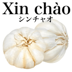 Raw garlic 21