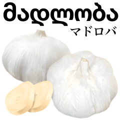 Raw garlic 22