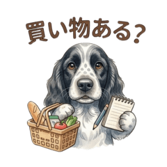 English Cocker Spaniel for daily chats