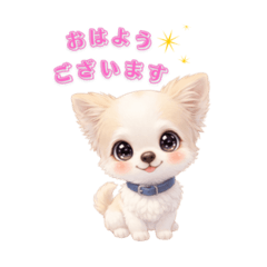 cocoru_20260327124434