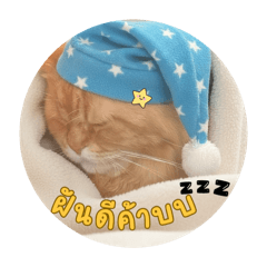 Punpun_20260326190810