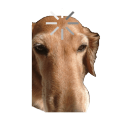 Monaka_20260324004240