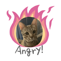 IDA_narak_20260326202539