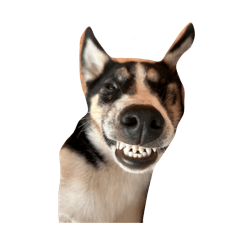 LufeeLupangDollarZeroMhee2