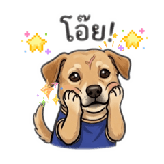 family_20260326225848