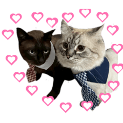 Witchayaporn Phonmat_20260326224638