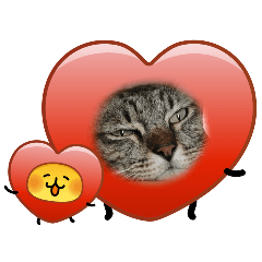 BB.BB_20260326225133