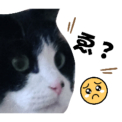 You can use it anywhere.