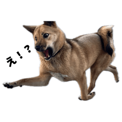 Cha-Chan_20260327135303