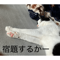 yamato_20260327135106