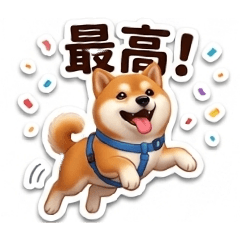 shibainu Ron