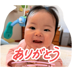 rokoema_20260327134528