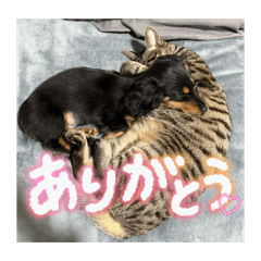 Karin_20260327135923