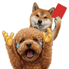 狗狗迷因表情大全-流浪之家