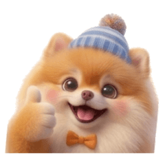 博美貝貝可愛就好