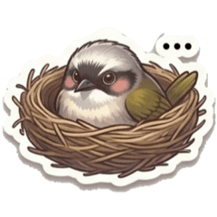 白頭翁之我家有隻小阿飛-來自療癒星球