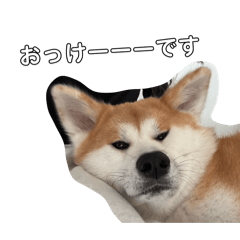 Konosan_20260327014753