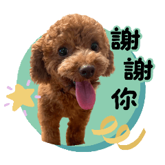 ✨️妞妞心情告白✨️