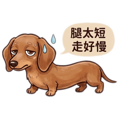 咖啡棕臘腸好朋朋♪( ´θ｀)ノ