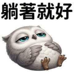 QQ灰仔貓頭鷹☆躺平人生