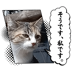 guwatti_20260327092831