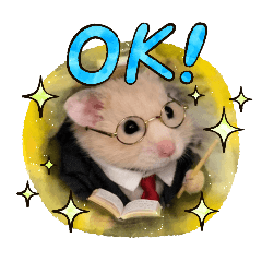 Yoyoyop_20260324085321