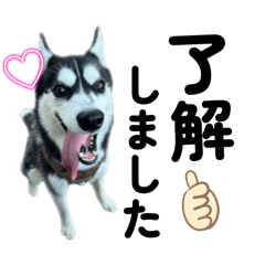 yurika_20260327121307