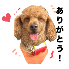 koko_mi_20260327122219