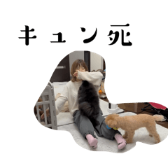 WAIWAI_20260324104033