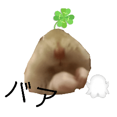 あんのハム生活