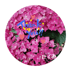 takusutnpu_20260324110653