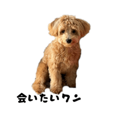 sytmsk_20260327141729