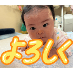 rokoema_20260327141500