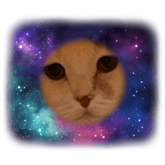 manzu_20260327142234