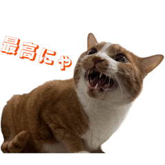 yukuma_20260327142347