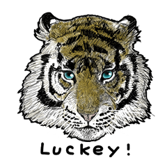 lucky tiger enjoy