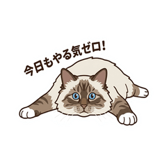 Lazy Birman Cat (Japanese)