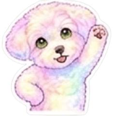 療癒可愛粉彩貴賓狗｜日常實用貼圖_