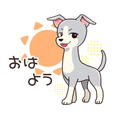 IG LIFE._20260326230448