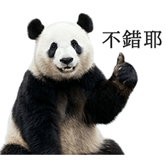 It can be used! Panda (Taiwanese Chinese