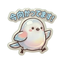 Serapukutuyasimaenaga