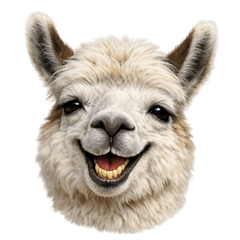 Expressive Animal Series: Llama