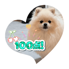 naporitannapo_20260327111342