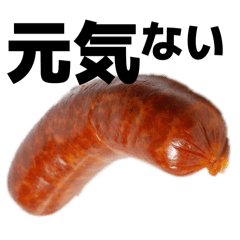 Yotchan's Reef Squid_20260324100115