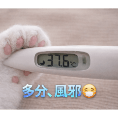 kuma(b)_20260324133146